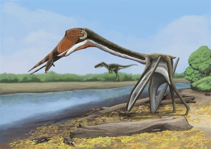 New Pterosaur Species Dubbed 'Dragon Of Death' Discovered In Argentina