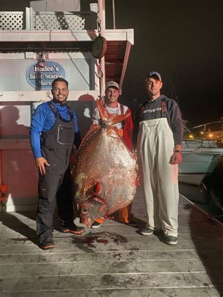 Rare 143-Pound Deep-Sea Opah Fish Caught Off The Coast Of Virginia