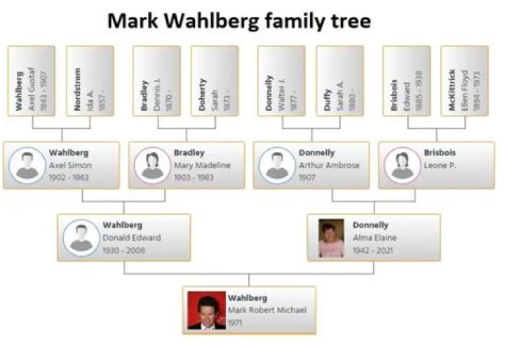 Wahlberg Family Tree and their net worth. 2022